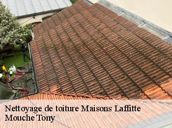 Nettoyage de toiture