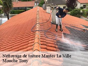 Nettoyage de toiture  78200