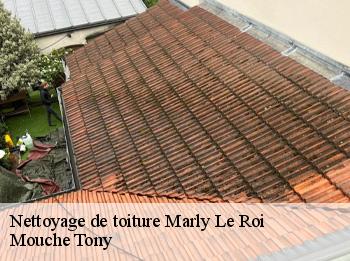 Nettoyage de toiture