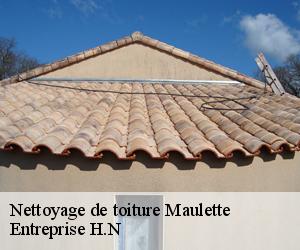 Nettoyage de toiture  maulette-78550 Entreprise H.N