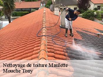 Nettoyage de toiture 78550