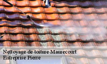 Nettoyage de toiture  maurecourt-78780 Entreprise H.N