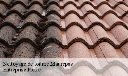 Nettoyage de toiture 78310