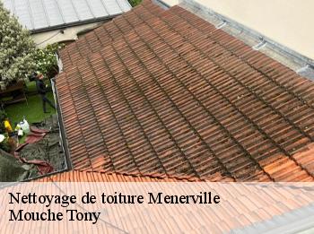 Nettoyage de toiture