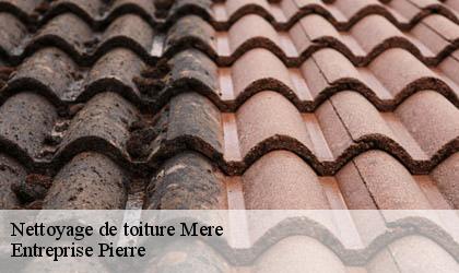 Nettoyage de toiture 78490