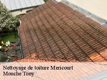 Nettoyage de toiture