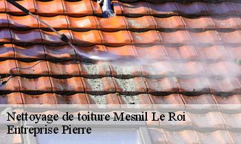 Nettoyage de toiture  mesnil-le-roi-78600 Entreprise Pierre