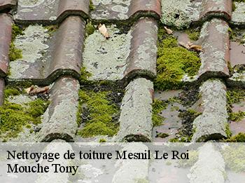 Nettoyage de toiture  mesnil-le-roi-78600 Mouche Tony
