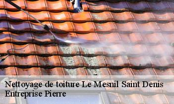 Nettoyage de toiture le-mesnil-saint-denis-78320 Entreprise Pierre