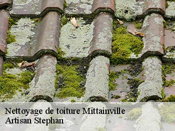Nettoyage de toiture  mittainville-78125 Artisan Stephan