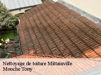 Nettoyage de toiture