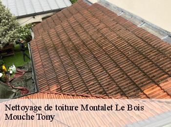 Nettoyage de toiture