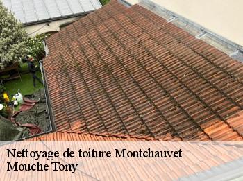 Nettoyage de toiture