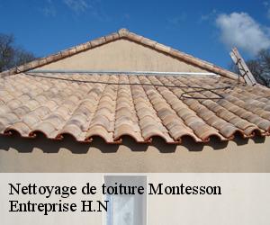 Nettoyage de toiture  montesson-78360 Entreprise H.N