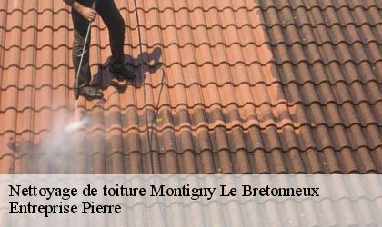 Nettoyage de toiture