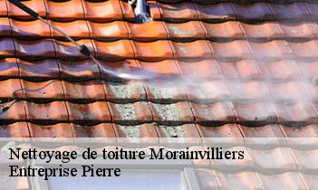 Nettoyage de toiture  morainvilliers-78630 Entreprise H.N