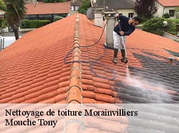 Nettoyage de toiture  78630