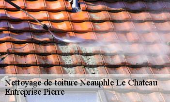 Nettoyage de toiture  neauphle-le-chateau-78640 Entreprise H.N