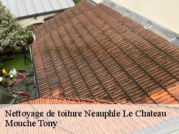 Nettoyage de toiture