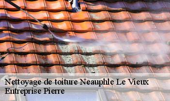 Nettoyage de toiture  neauphle-le-vieux-78640 Entreprise Pierre