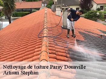 Nettoyage de toiture  78660