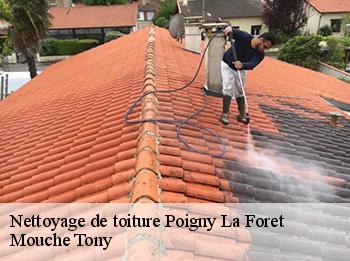 Nettoyage de toiture  78125