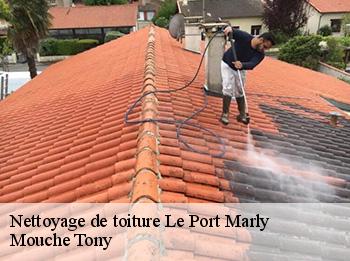 Nettoyage de toiture 78560