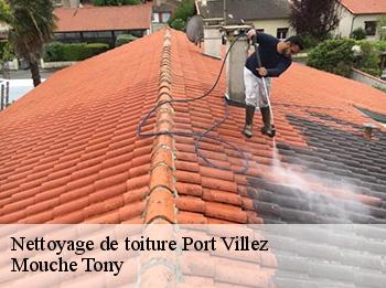 Nettoyage de toiture 78270