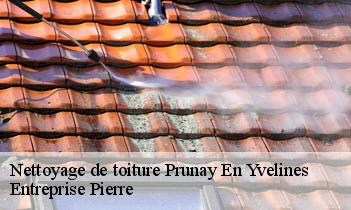 Nettoyage de toiture prunay-en-yvelines-78660 Entreprise Pierre