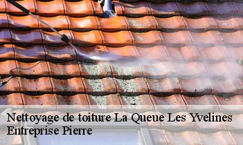 Nettoyage de toiture  la-queue-les-yvelines-78940 Entreprise Pierre