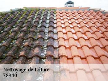 Nettoyage de toiture  78940