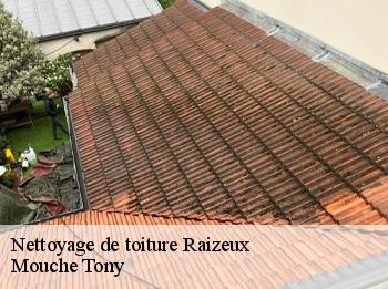 Nettoyage de toiture