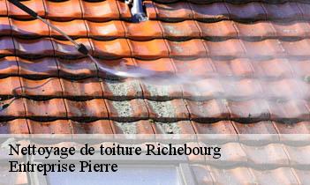 Nettoyage de toiture richebourg-78550 Entreprise H.N