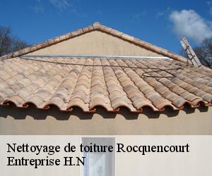 Nettoyage de toiture  rocquencourt-78150 Entreprise H.N