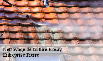 Nettoyage de toiture rosay-78790 Entreprise Pierre