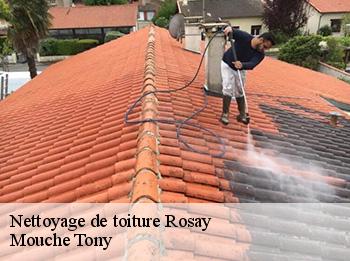 Nettoyage de toiture  78790