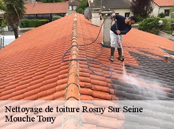 Nettoyage de toiture 78710