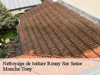 Nettoyage de toiture
