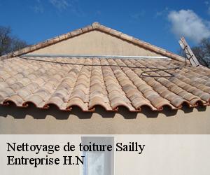 Nettoyage de toiture  sailly-78440 Entreprise H.N