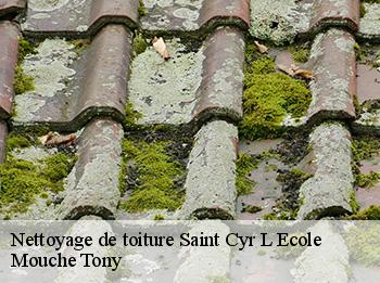 Nettoyage de toiture  saint-cyr-l-ecole-78210 Mouche Tony