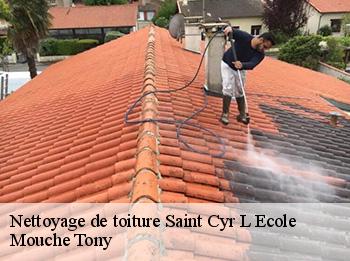 Nettoyage de toiture  78210