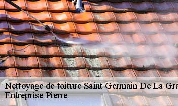 Nettoyage de toiture saint-germain-de-la-grange-78640 Entreprise Pierre