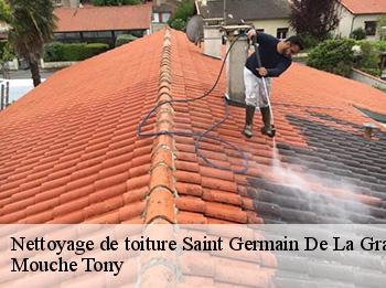 Nettoyage de toiture  78640