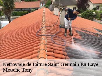 Nettoyage de toiture  78100