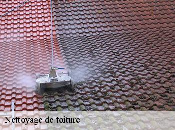 Nettoyage de toiture  78980