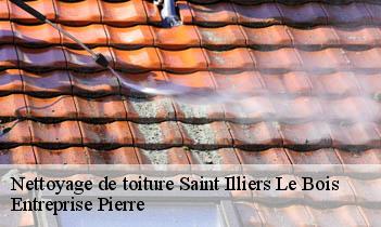 Nettoyage de toiture saint-illiers-le-bois-78980 Entreprise Pierre