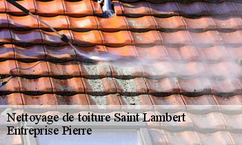 Nettoyage de toiture saint-lambert-78470 Entreprise Pierre