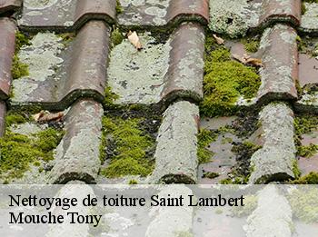 Nettoyage de toiture saint-lambert-78470 Mouche Tony