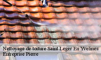 Nettoyage de toiture saint-leger-en-yvelines-78610 Entreprise Pierre