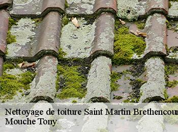 Nettoyage de toiture  saint-martin-brethencourt-78660 Mouche Tony